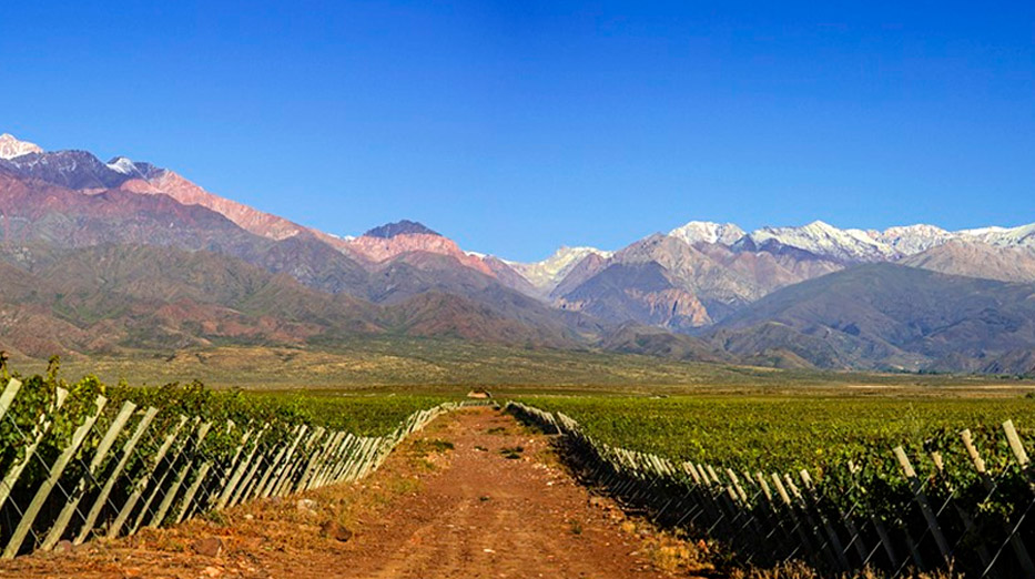 Los Chacayes, el sabor extremo del Valle de Uco